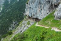 2014-07-24_OsterfelderKopf (305).JPG